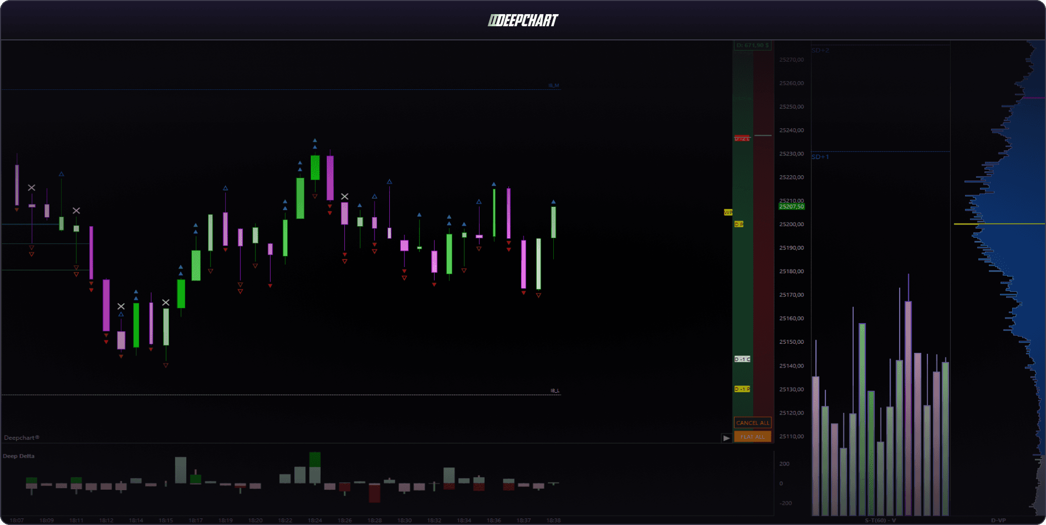 Order-flow terminal showing candlesticks, volume delta, and depth profiles